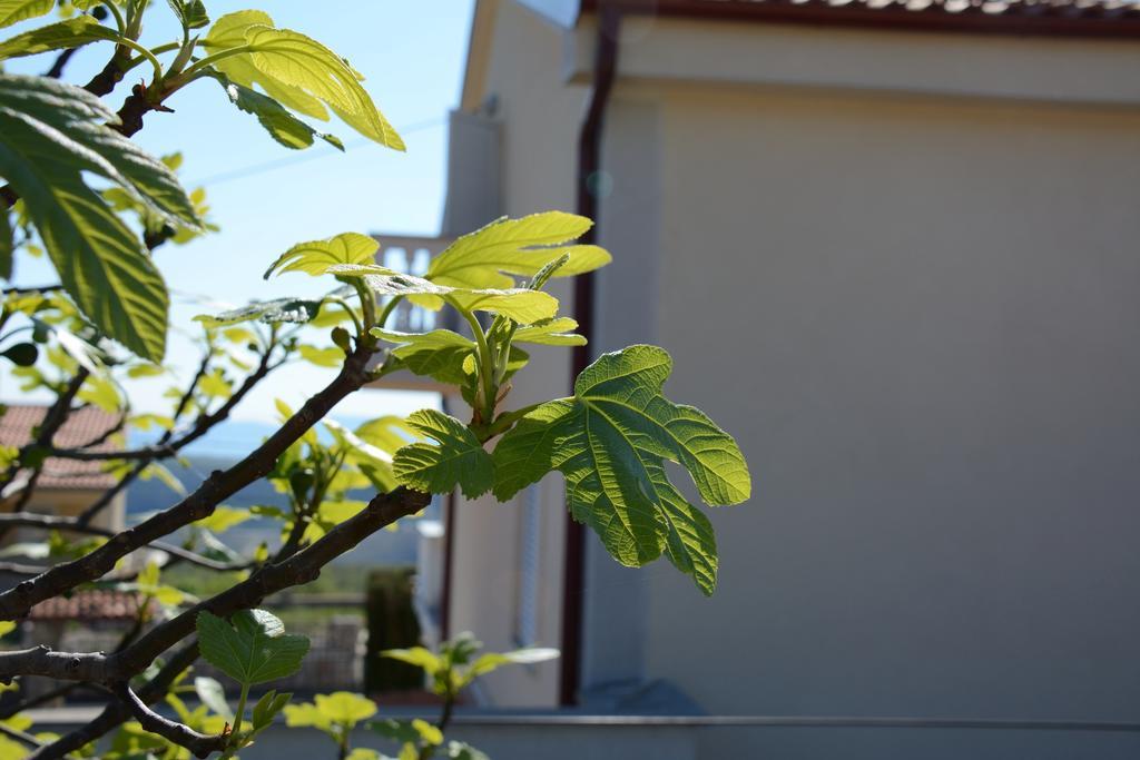 Apartments Dida Moj Šmrika Exteriér fotografie